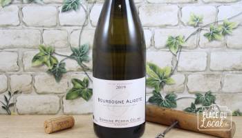 Bourgogne Aligoté 2019 - Bio