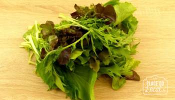 Mesclun asiatique Bio