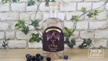 Vodka “Lyra”
