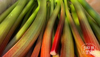 Rhubarbe Bio
