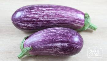 Aubergine Strié Rose - BIO -