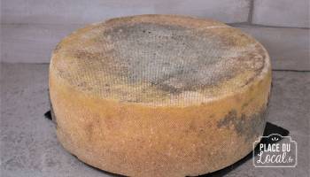 Tomme "Chanterelle Paysanne"