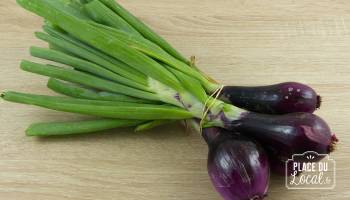 Botte Oignons Nouveaux Rouges BIO