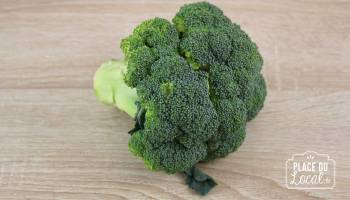 Brocoli Bio