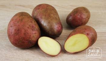 Pomme de terre Primeur Bio