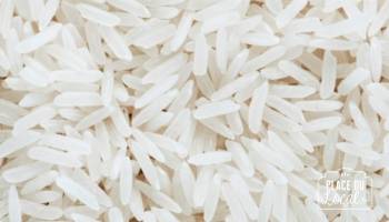 Riz de Camargue Bio long blanc