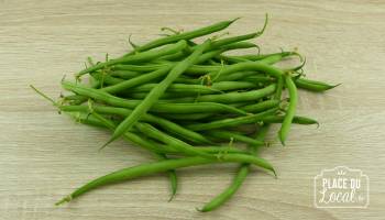 Haricots Verts Bio