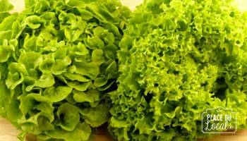 Salade Bio