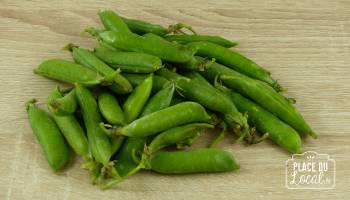 Petits pois à écosser Bio