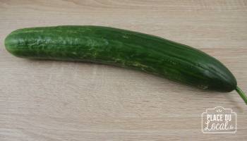 Concombre long Bio
