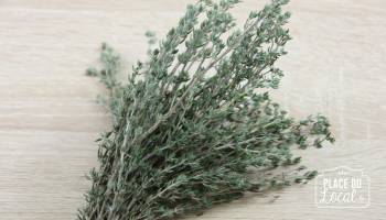 Bouquet de Thym frais bio
