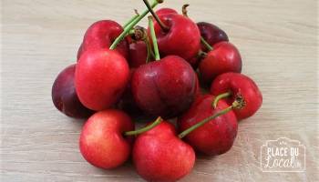 Cerises rouges à queue