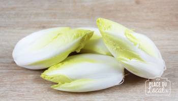 Endives Blanches Bio