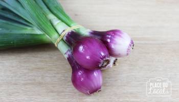 Oignons rouges botte Bio