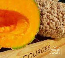 Courges "Galeuse d'eysines"