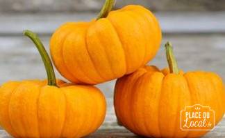 Courges "Jack Be little"