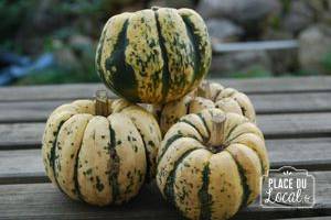 Courges "Patidou"