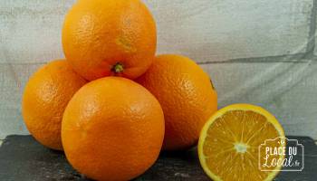 Orange Bio de Sicile