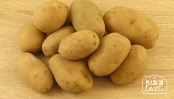 Pomme de Terre Agria Bio