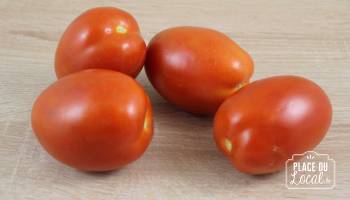Tomates Roma Bio (Biau Potager)