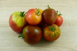 Mélange tomates anciennes