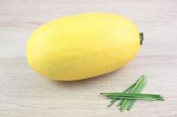 Courge Spaghetti Bio