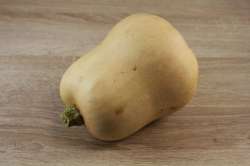 Butternut Bio