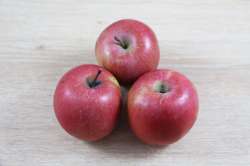 Pomme Valstar Bio