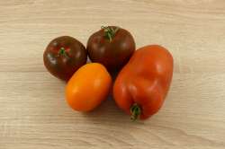 Tomates Bio Mélange