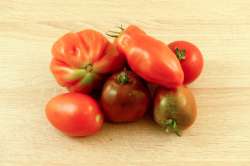 Mélange Tomates anciennes Bio