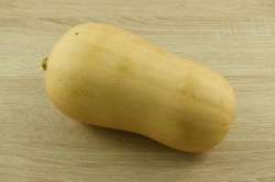 Courge Butternut Bio (sous la Côte)