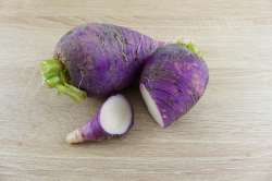 Radis violet Bio