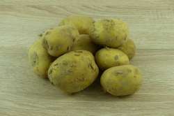 Pomme de Terre Nouvelle