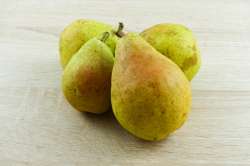 Poires Harrow-sweet  bio