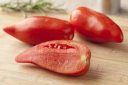 Tomates Cornue des Andes Bio