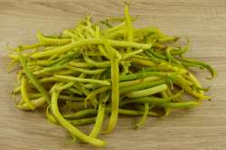 Haricots beurres Bio
