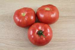 Tomates rose de Berne Bio