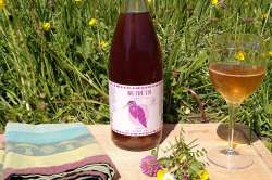 Kombucha Cassis bio