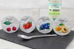 Yaourt  Gourmand aux Fruits Bio