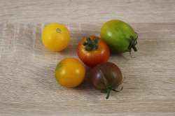 Mélange de Tomates cerises Bio (LGG)