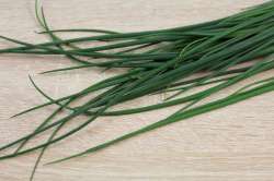 Ciboulette Bio