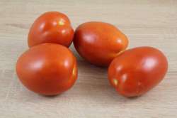 Tomates Roma Bio (ETANG)