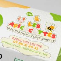 Les Apicocottes