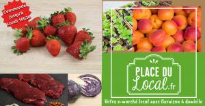 Nouvelles du 23/05/2025 - Boeuf Bio, Fraises Bio, Abricot, Choux nouveaux, Parrainage boosté !